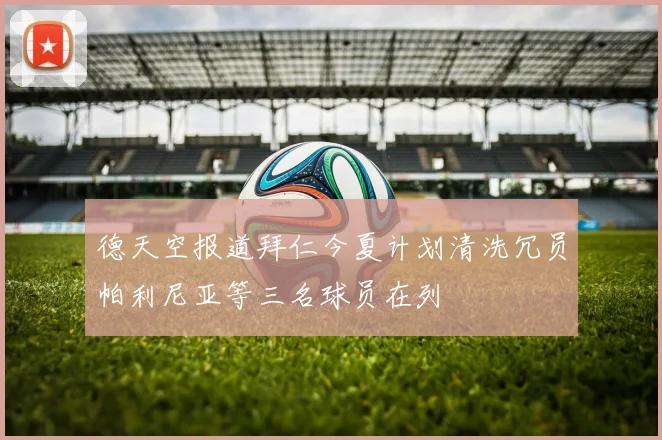 德天空报道拜仁今夏计划清洗冗员帕利尼亚等三名球员在列