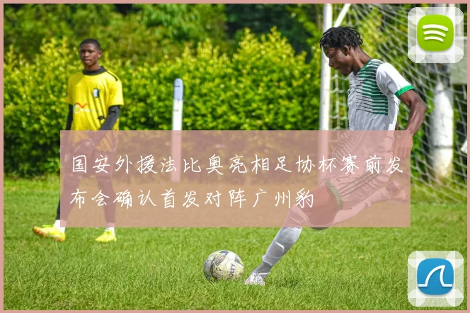 国安外援法比奥亮相足协杯赛前发布会确认首发对阵广州豹